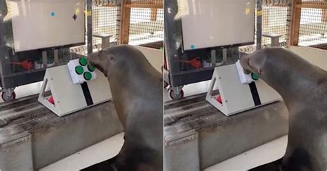 Video: What if you could feel fireworks? Watch Disney’s tactile ...