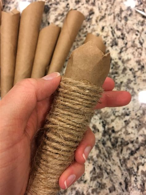 DIY Primitive 的图像结果