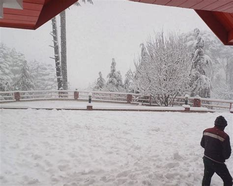 HOTEL SAMSON (Patnitop, Jammu) - Hotel Reviews, Photos, Rate Comparison ...