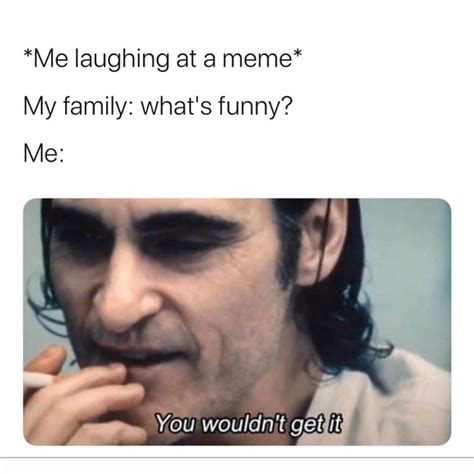 *Me laughing at a meme* My family: what's funny? Me: You wouldn't get ...