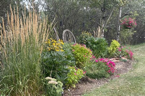 Best Plant Types for Windy Area Stands