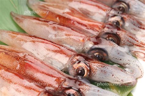 Image result for Alien Predator Goo