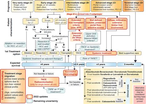 New concepts in the treatment of hepatocellular carcinoma - Sidali ...