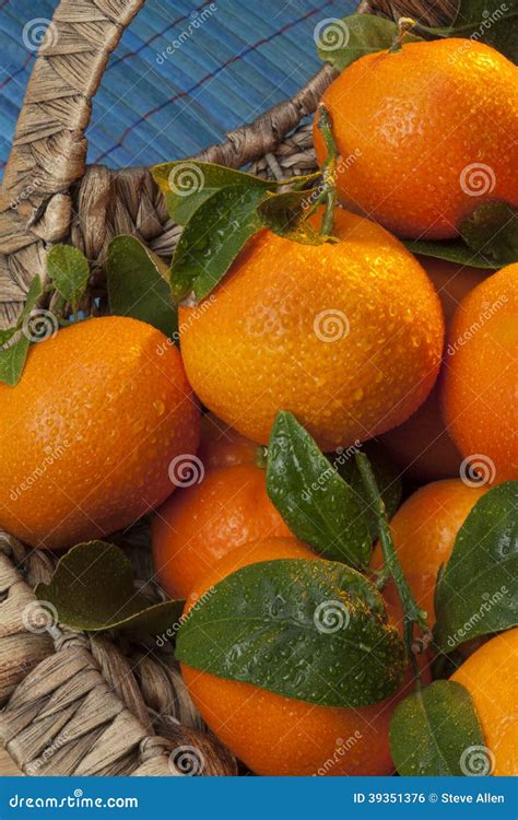 Fruit - Mandarin orange stock photo. Image of reticulata - 39351376