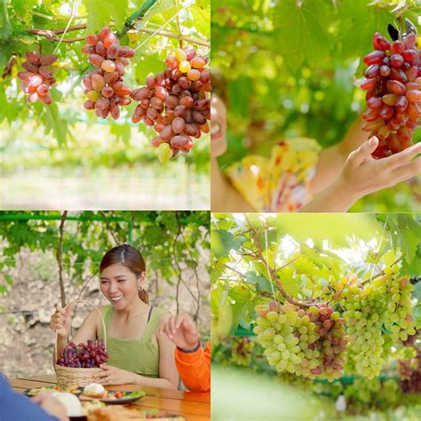 AMAYA VIEW (Cagayan de Oro) - Hotel Reviews & Photos - Tripadvisor