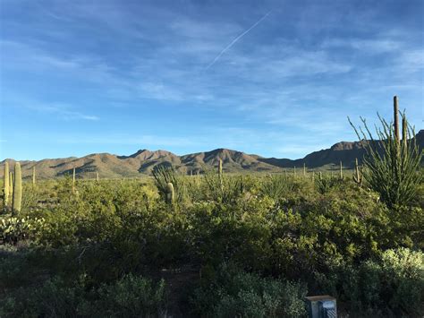Gilbert Ray Campground: Camping Reservations & Amenities
