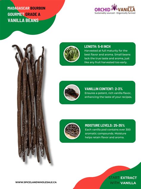 Quality Madagascar Bourbon Vanilla Beans for Homemade Paste