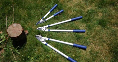 How to Use Loppers 的图像结果