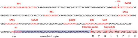 Promoter Region Models 的图像结果