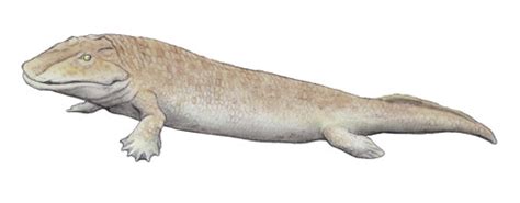 Image result for Fish Stink Meme