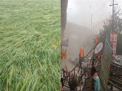 MP में अचानक बदला मौसम, कहीं ओले बरसे तो कहीं धूल भरी आंधी-बिजली, फसल ...