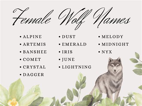 Beautiful Names For Wolves