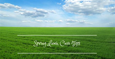 Image result for Spring Lawn Care Tips