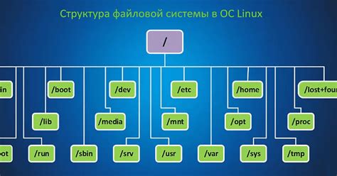 Организация файловой системы в Linux. — Teletype