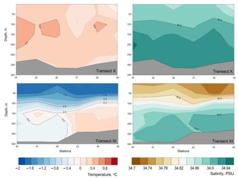 Dynamics of the Spatial Chlorophyll-A Distribution at the Polar Front ...