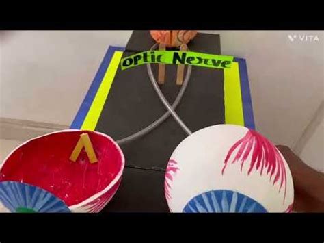 Image result for Science Eye Projects Tutorial