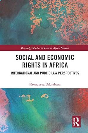 Social and Economic Rights in Africa: International and Public Law ...