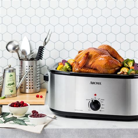Electric Roaster Oven – EntireWishes