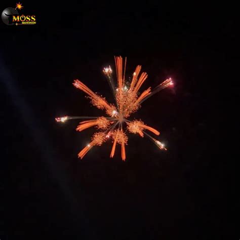 Image result for 16 Fireworks Shell
