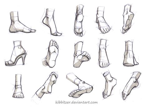 Foot Anatomy Drawing Reference at Ronald Hollon blog