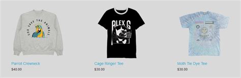 Image result for Sandy Alex G Merch
