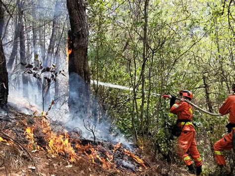 回不来的灭火英雄 ——缅怀四川木里“3.30”森林火灾中牺牲的31位勇士 消防百事通
