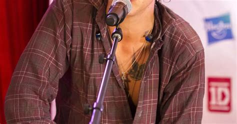 Image result for One Direction Concert Crows Fan Project