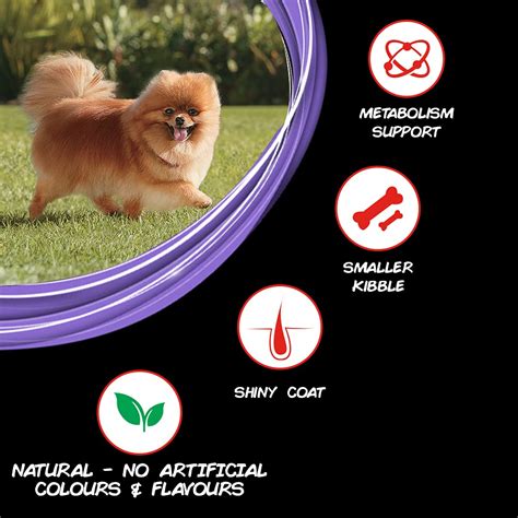 Purina Supercoat Small Breed Adult Dry Dog Food – BARKS MEOWS & MORE