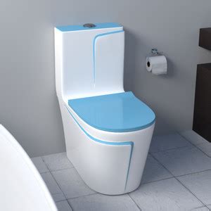 BRIZENTA Commode for Toilet/Ceramic One Piece Toilet/ Syphonic Flush ...