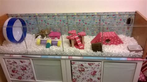 cheap syrian hamster cages - Google Search | hamster cages | Pinterest ...