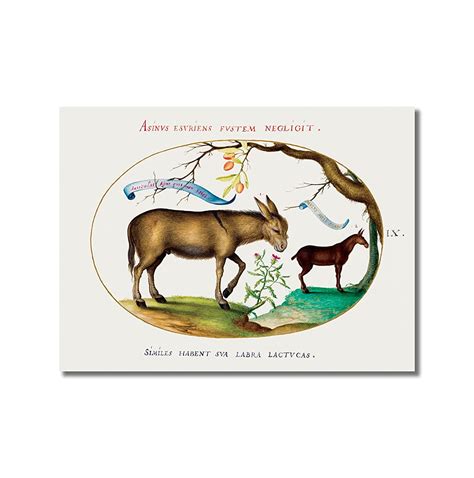 Tamatina Wall Posters | Living Room Home Décor Restaurant Bedroom ...
