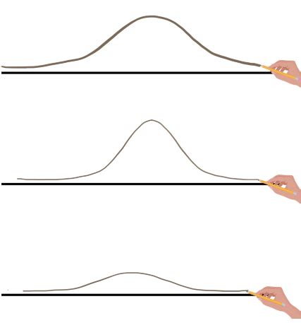Shapes of Distribution Graphs 的图像结果