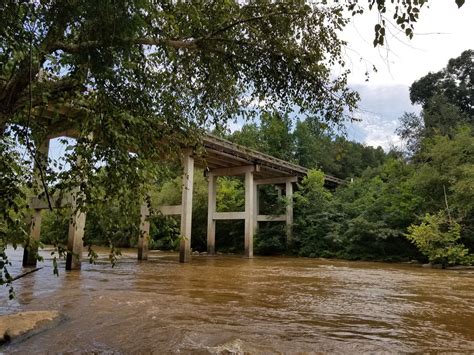 Roebuck Tourism (2024): All You Need to Know Before You Go