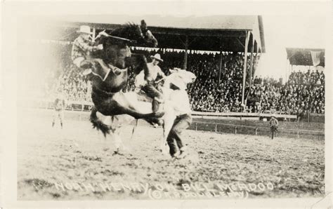 Image result for Python Rodeo Tricks