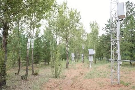 案例分享 | 龙泉山举行空地一体激光雷达森林资源调查应用实演 – 北京数字绿土科技股份有限公司