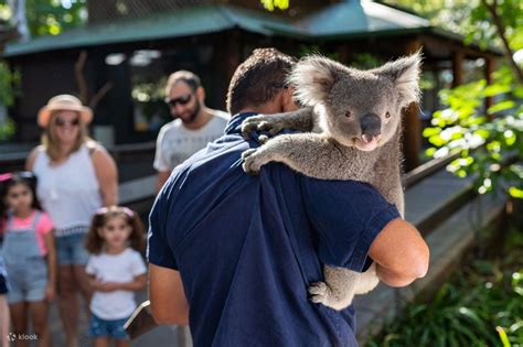 Image result for Outback Splash Water Slides Perth