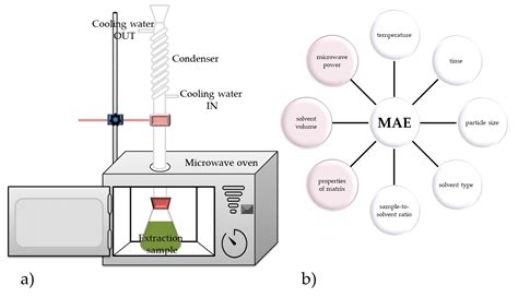 Modern Techniques for Flavonoid Extraction—To Optimize or Not to Optimize?