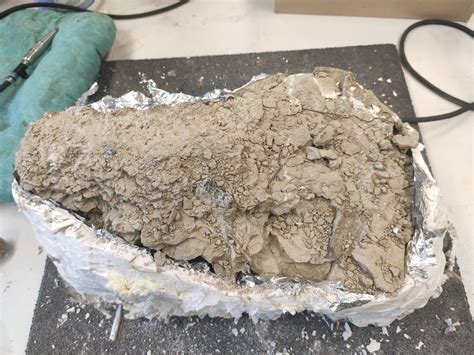 Hyaenodon skull / Projects / Preparation | Dutch Dinosaurs