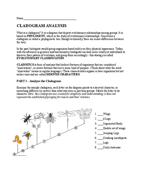 Image result for Cladogram Worksheet Worm