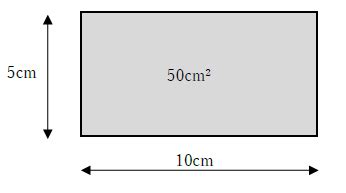 50平方センチメートルとは？1分でわかる広さ、計算、何センチ、何平方メートル