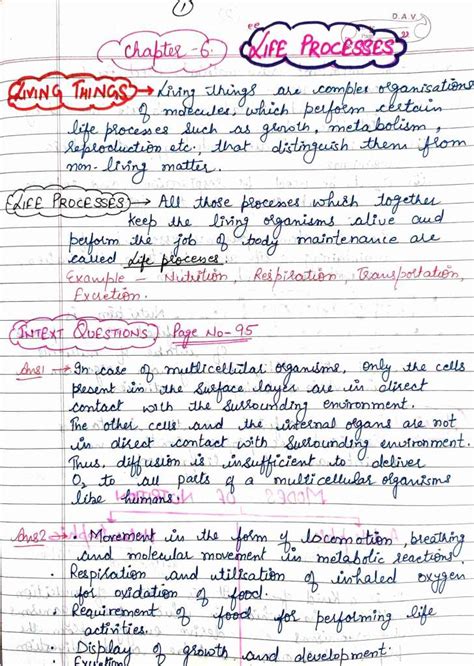 Class 10 Ch.16 Science Notes 的图像结果