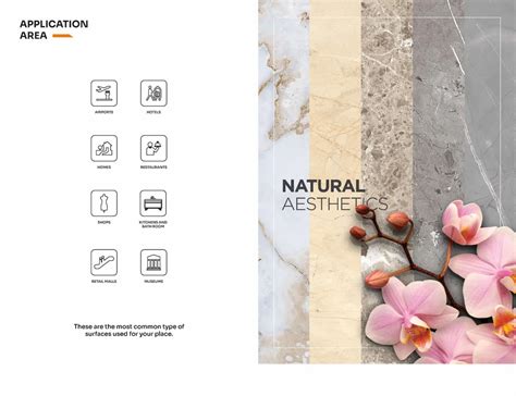 Vitrified Tiles - Carving Series. Gvt Pgvt Trader - Retailer from Morbi