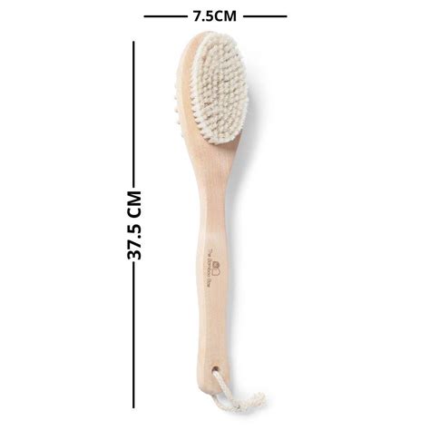 Buy Bath Brush 2 In 1 with Free Loofah | Body Brush with Handle Online ...