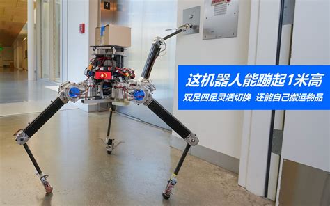 这机器人能蹦起1米高，双足四足灵活切换，还能自己搬运物品_哔哩哔哩_bilibili