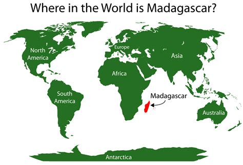 Episode 1 Field Guide: Finding fossils in Madagascar - Past Time Paleo