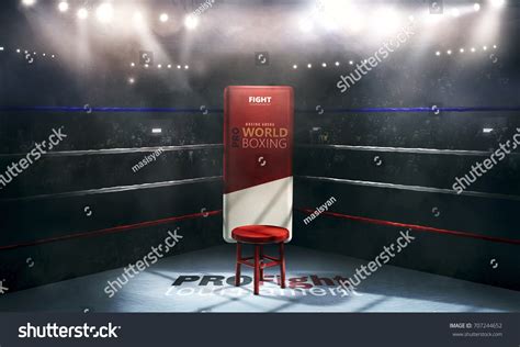 Boxing Ring Top View 的图像结果