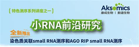 Small Activatingrna 的图像结果