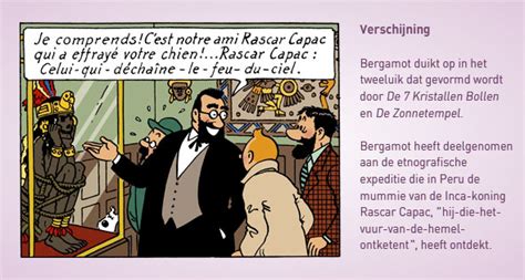 Les Aventures de Tintin - Hergé