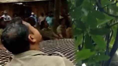 Prisoner climbs tree, threatens suicide in Poojapura jail; rescued by ...