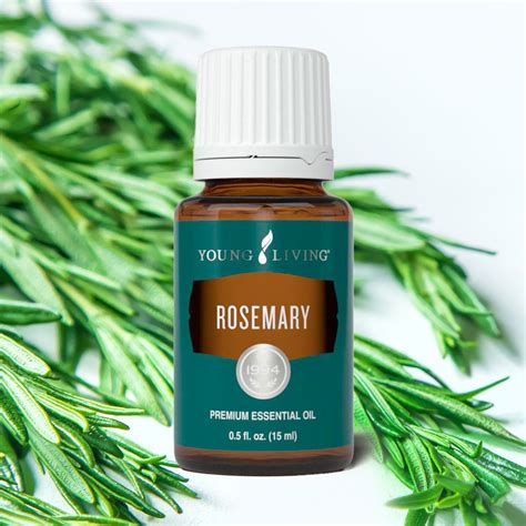 Rosemary Essential Oil Young Living